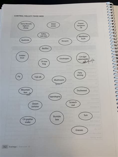 Solved: PROCEDURE A. Food Webs 1. Read The List Of Organis ...