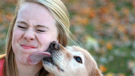 Think Twice Before Letting Your Dog Lick Your Face Mental Floss