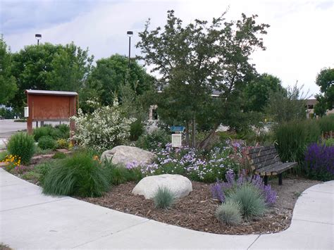 City Of Broomfield Xeriscape Demonstration Garden Plant Select