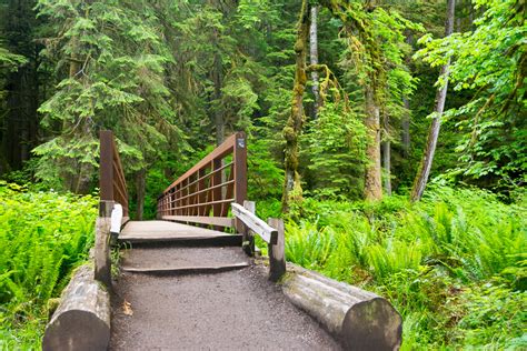 10 Reasons To Visit Olympic National Park Postcards To