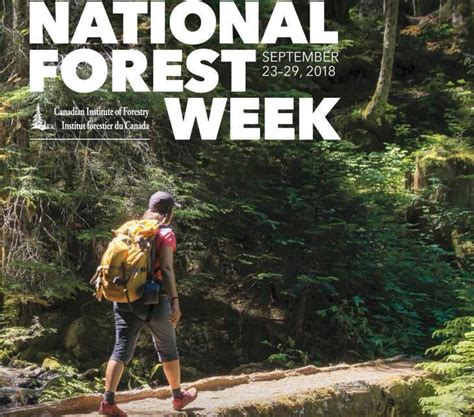 Happy National Forest Week The Resolute Blog