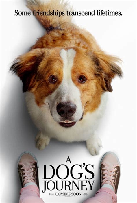 A dog's journey hits theaters this week and today we talk about it! Movie Review - A Dog's Journey (2019)