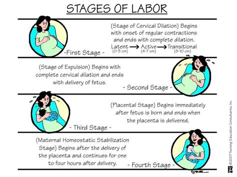 stages of labor nursing school pinterest pa s pinterest labor nursing schools and