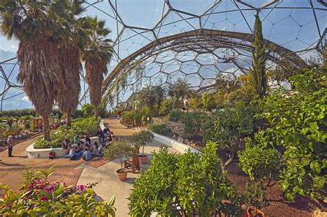 A View Inside The Mediterranean Biome License Image 71356772
