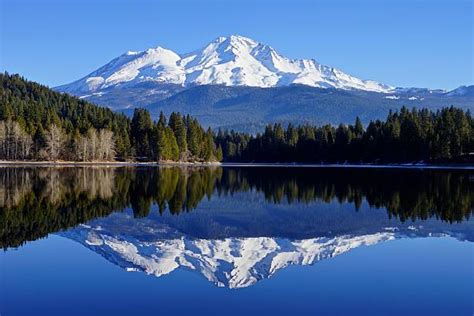 Shasta Trinity National Forest Photos Stock Photos Pictures And Royalty