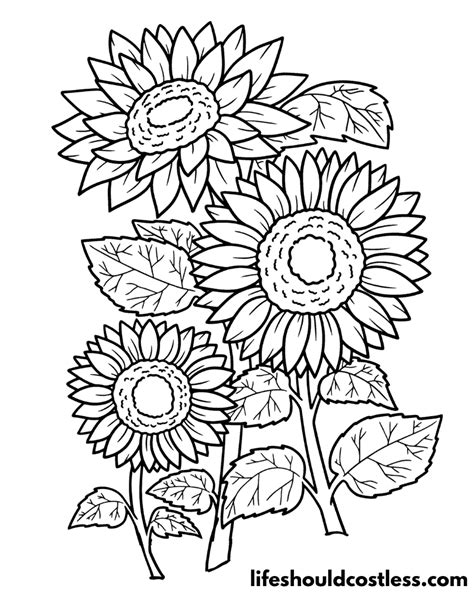 Sunflower Coloring Pages (free printable PDF templates) - Life Should
