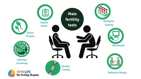 Male Fertility Tests Diagnosis And Treatment Femelife