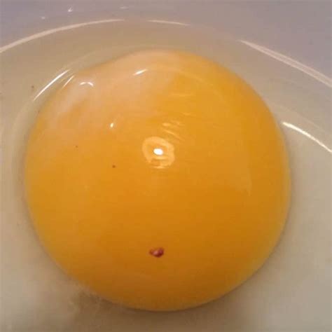 Is That Blood In My Egg Eat Or Toss