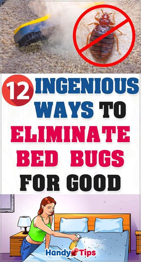 12 Ingenious Ways To Eliminate Bed Bugs For Good Bed Bugs Rid Of Bed