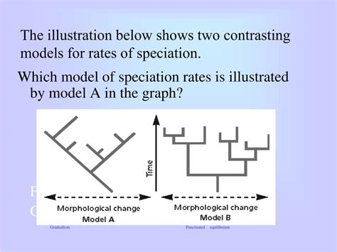 Ppt Chapter 16 Population Genetics And Speciation Powerpoint
