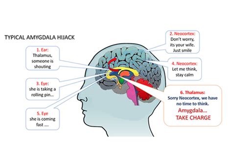 Amygdala Hijack District 105