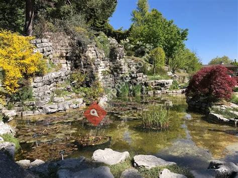 The botanischer garten was pointed out to me from the train after my trip to zur bratpfanne for my favourite currywurst in berlin so far. Kantonaler Botanischer Garten und Botanisches Museum ...