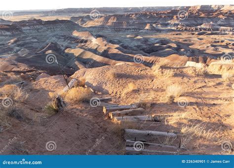 Little Painted Desert Arizona Steps Taken March 2021 Stock Image