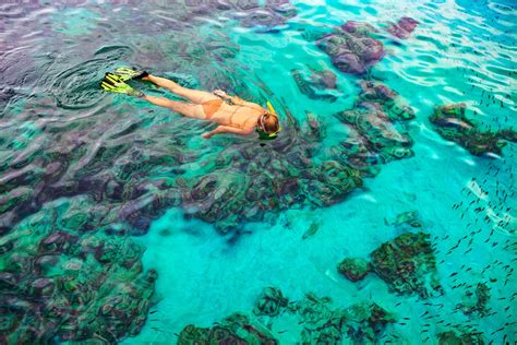 The 10 Best Snorkeling Spots In Nassau The Bahamas Sandals