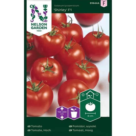 Tomato Shirley F1 Medium And Seeds Seeds