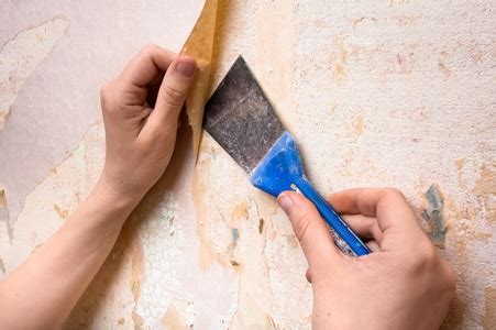 Alternatively, you can attach the drive to a friend's. How to Prepare a Wall for Paint After Removing Wallpaper ...
