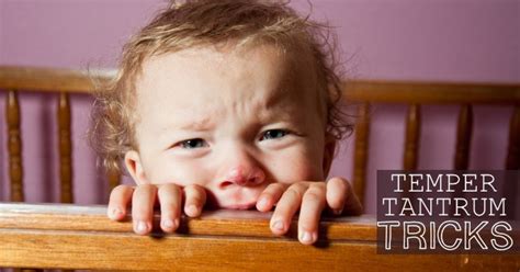 Temper Tantrums Tips From Moms Who Have Been There Kids Activities