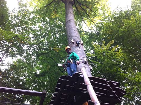 Die heutige bezeichnung „neroberg wurde im 19. Kletterpark Neroberg Wiesbaden - www.newchurch.de