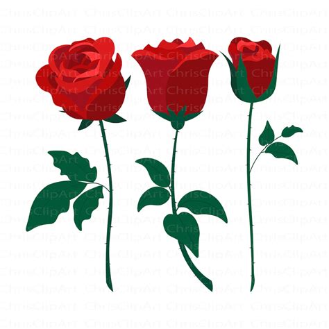 Red Rose Svg Red Rose Clipart Rose Svg Red Rose Png Rose Etsy Canada