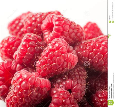 Fresh Raspberries On White Background Stock Image Image Of Food