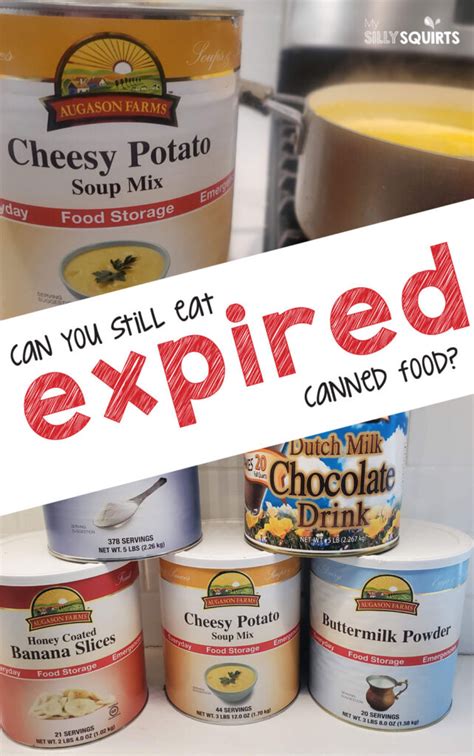 Expired Canned Food Storage How Long Is Too Long My Silly Squirts