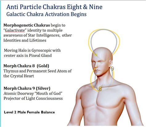9th Chakra Ascension Glossary