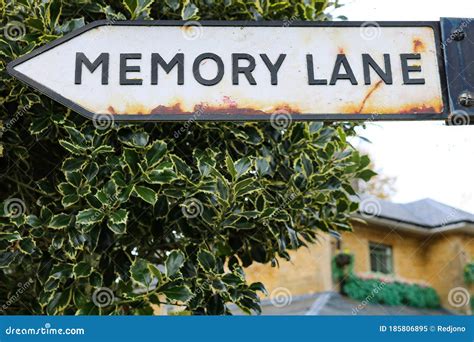 Take A Trip Down Memory Lane Signpost With Holly Background Stock Image
