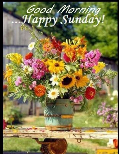 Good Morning Happy Sunday Image With Flowers Pictures