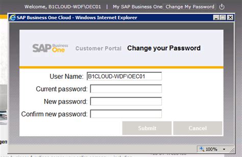 Adding Change Your Password Functionality To The Sap Business One