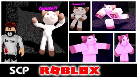 Lazyblaze As Comix Demonstration With Popcat Roblox Scp 096 Youtube