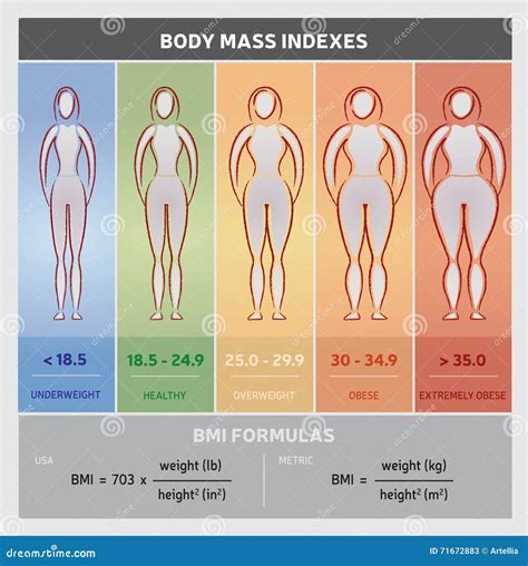 Grafico Grafico Del Diagramma Dell Indice Di Massa Corporea Con Le