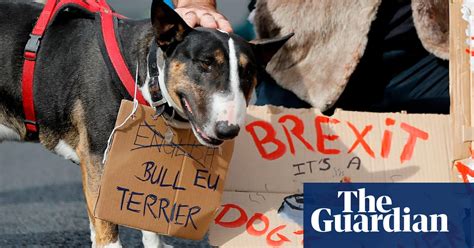 Bark If You Want To Stop Brexit Wooferendum In Pictures Politics