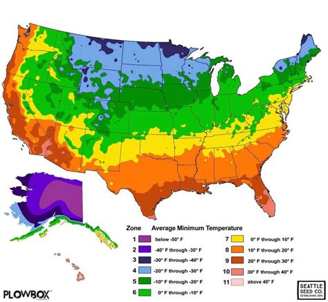 Hardiness Zones And Succulents Succulents Dogwood Trees Pink