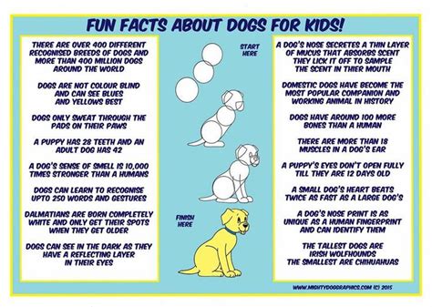 Fun Facts About Dogs For Kids And Adults Too Fun Facts About Dogs