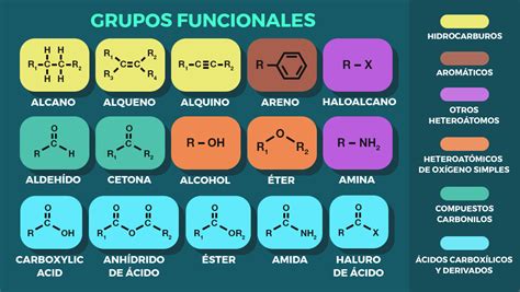 Las Funciones QuÍmicas OrgÁnicas De Los H Mind Map