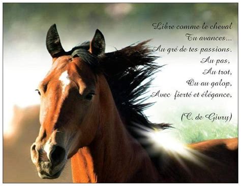 Debranchement carte anniversaire carte faites parler invitation anniversaire à imprimer avec un. Carte D'anniversaire Gratuite À Imprimer Avec Cheval Fresh ...