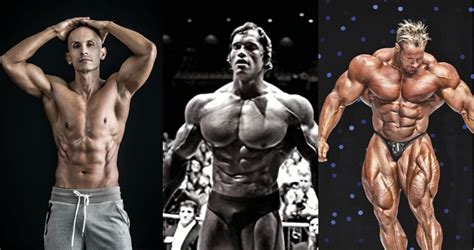 Male Body Types How Best To Train Eat And Supplements For Your Body