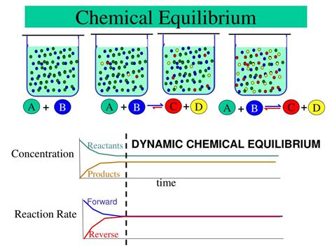 Ppt Chemical Equilibrium Powerpoint Presentation Free Download Id