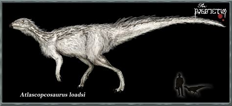 Extinct Animal Of The Week Blank Faced Ornithopods