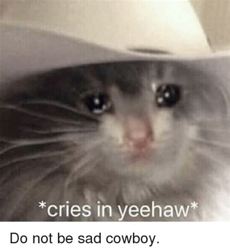 Cries In Yeehaw Cowboy Meme On Meme