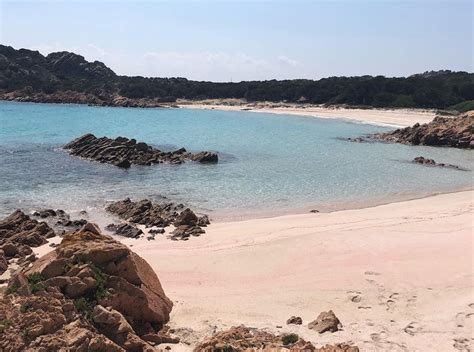 Vous n'êtes pas autorisé à lire ce forum. Plage rose en Sardaigne : tout savoir sur la plage rose de ...