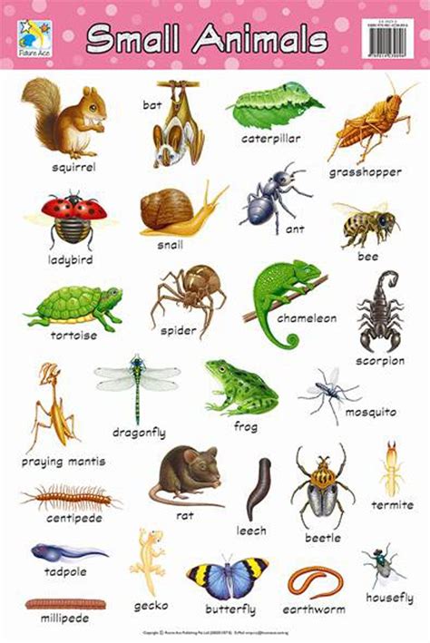 Sea Animals List Names – Idalias Salon