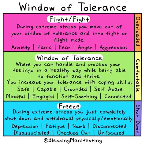 The Window Of Tolerance Self Love Rainbow 8d6