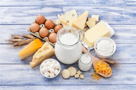 Dairy Food Group List