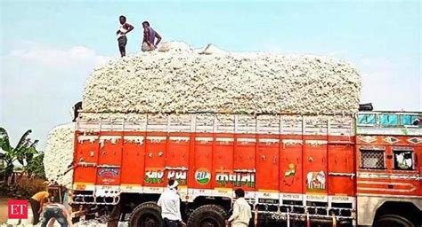 Cai Maintains Cotton Crop Estimate At 31118 Lakh Bales For 2022 23