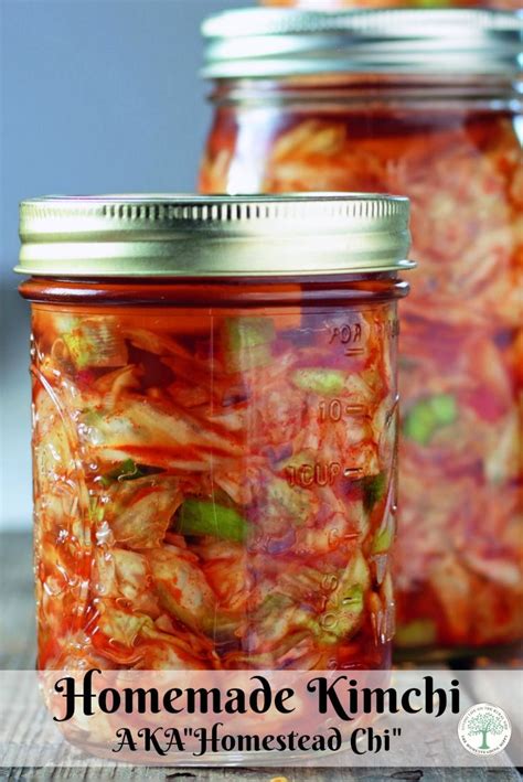 homemade kimchi is delicious learn how to make this by fermenting naturally the homesteading