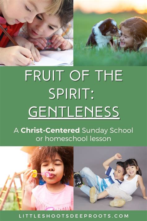 A Christ Focused Lesson On Gentleness As A Fruit Of The Spirit Artofit