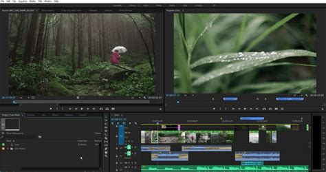 Adobe Video Editor Free Download Full Version Echoper