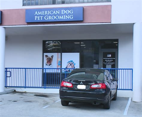 Owner Of Dog Grooming Business In Boca Raton Charged With Animal