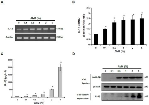 Abm Extract Induced Secretion Of Il 1b In Thp 1 Macrophages A Thp 1